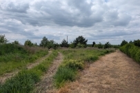 Działka 2913 m&sup2;, Santok, Wawrów - 350000 zł (nr 1075/2301/OGS)