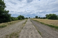 Dom 220 m&sup2;, Gorzów Wielkopolski - 590000 zł (nr 1035/2562/ODS)