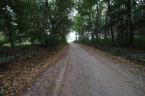 Działka 2119 m², Kłodawa, Mironice - 300000 zł (nr 1076/2301/OGS)