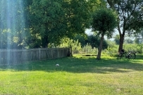 Działka 1590 m&sup2;, Gorzów Wielkopolski, Siedlice - 165000 zł (nr 423/7162/OGS)