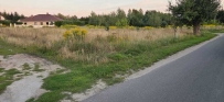 Działka 1270 m&sup2;, Santok, Janczewo - 240000 zł (nr 728/8967/OGS)