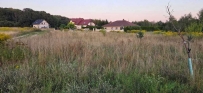 Działka 1270 m&sup2;, Santok, Janczewo - 240000 zł (nr 728/8967/OGS)