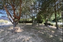 Dom 280 m², Kłodawa, Chwalęcice - 2400000 zł (nr 763/2055/ODS)