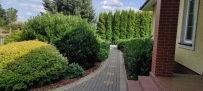 Dom 150 m², Gorzów Wielkopolski - 990000 zł (nr 822/3504/ODS)