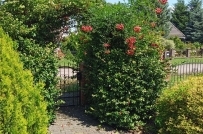 Dom 150 m², Gorzów Wielkopolski - 990000 zł (nr 822/3504/ODS)