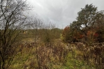 Działka 3340 m&sup2;, Gorzów Wielkopolski, os. Piaski - 549000 zł (nr 287/710/OGS)