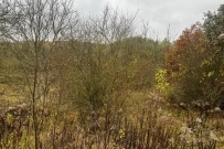 Działka 3340 m&sup2;, Gorzów Wielkopolski, os. Piaski - 549000 zł (nr 287/710/OGS)