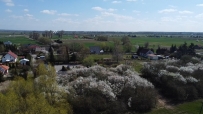 Działka 3081 m&sup2;, Bogdaniec, Wieprzyce - 129000 zł (nr 794/3504/OGS)