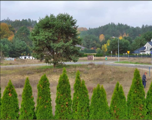  na  Bogdaniec, Jenin - 169 000 zł