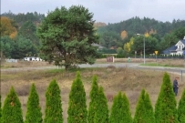Działka 1001 m&sup2;, Bogdaniec, Jenin - 169000 zł (nr 1079/2301/OGS)