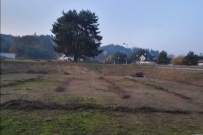 Działka 1001 m&sup2;, Bogdaniec, Jenin - 169000 zł (nr 1079/2301/OGS)