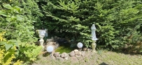 Dom 40 m², Gorzów Wielkopolski - 79000 zł (nr 964/2287/ODS)