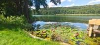 Mieszkanie 35,3 m², Drezdenko, Lubiewo - 89000 zł (nr 1769/2287/OMS)