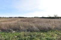 Działka 1295 m&sup2;, Kłodawa - 250000 zł (nr 731/8967/OGS)