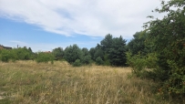 Działka 1062 m², Santok - 109000 zł (nr 732/8967/OGS)