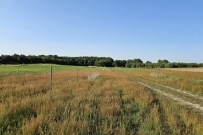 Działka 1050 m&sup2;, Kłodawa - 149000 zł (nr 1348/2562/OGS)