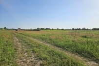 Działka 1050 m&sup2;, Kłodawa - 149000 zł (nr 1348/2562/OGS)