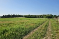 Działka 1050 m&sup2;, Kłodawa - 149000 zł (nr 1348/2562/OGS)