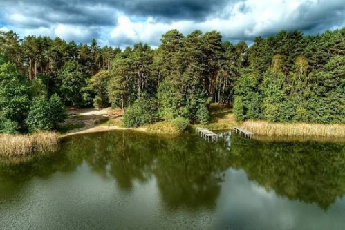  na  Witnica, Sosny - 145 000 zł