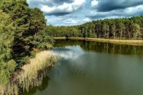 Działka 470 m&sup2;, Witnica, Sosny - 145000 zł (nr 1350/2562/OGS)