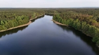 Działka 470 m&sup2;, Witnica, Sosny - 145000 zł (nr 1350/2562/OGS)