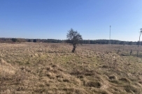 Działka 5318 m², Kłodawa, Łośno - 150000 zł (nr 1357/2562/OGS)