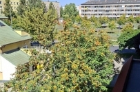 Mieszkanie 33,4 m², Gorzów Wielkopolski, Górczyn - 239900 zł (nr 1585/2301/OMS)