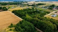 Działka 3217 m², Santok, Gralewo - 199000 zł (nr 463/3070/OGS)
