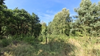 Działka 734 m², Bogdaniec - 120000 zł (nr 1082/2301/OGS)