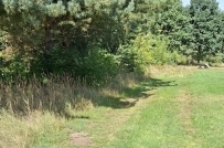 Działka 734 m², Bogdaniec - 120000 zł (nr 1082/2301/OGS)