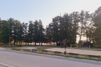 Mieszkanie 37,2 m², Dobiegniew, Osiek - 110000 zł (nr 1355/2639/OMS)