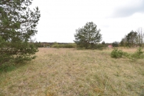 Działka 1230 m², Kłodawa, Zdroisko - 79000 zł (nr 735/8967/OGS)