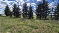 Działka 3001 m², Kłodawa - 315000 zł (nr 797/3504/OGS)
