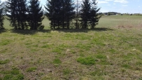 Działka 3001 m², Kłodawa - 315000 zł (nr 797/3504/OGS)