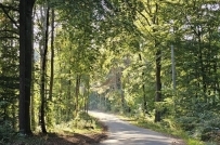 Działka 3000 m², Kłodawa, Santocko - 280000 zł (nr 1374/2562/OGS)