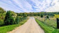 Działka 1600 m², Santok, Ludzisławice - 93000 zł (nr 67/2625/OGS)