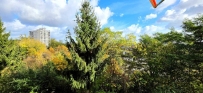 Mieszkanie 54,84 m², Gorzów Wielkopolski - 360000 zł (nr 1802/2287/OMS)