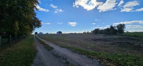  na  Myślibórz, Golenice - 99 000 zł