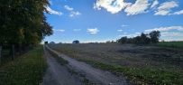 Działka 1154 m², Myślibórz, Golenice - 99000 zł (nr 178/3120/OGS)