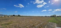 Działka 1154 m², Myślibórz, Golenice - 99000 zł (nr 178/3120/OGS)