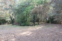 Działka 1000 m&sup2;, Krzęcin, Chłopowo - 89000 zł (nr 737/8967/OGS)