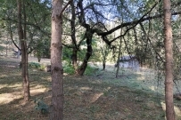 Działka 1000 m&sup2;, Krzęcin, Chłopowo - 89000 zł (nr 737/8967/OGS)