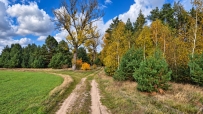 Działka 2960 m², Nowogródek Pomorski, Trzcinna - 59200 zł (nr 800/3504/OGS)