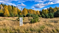 Działka 2960 m², Nowogródek Pomorski, Trzcinna - 59200 zł (nr 800/3504/OGS)