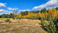 Działka 2960 m², Nowogródek Pomorski, Trzcinna - 59200 zł (nr 800/3504/OGS)