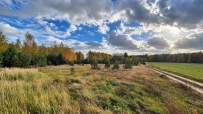 Działka 2960 m², Nowogródek Pomorski, Trzcinna - 59200 zł (nr 800/3504/OGS)