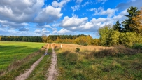 Działka 2960 m², Nowogródek Pomorski, Trzcinna - 59200 zł (nr 800/3504/OGS)
