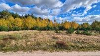 Działka 2960 m², Nowogródek Pomorski, Trzcinna - 59200 zł (nr 800/3504/OGS)